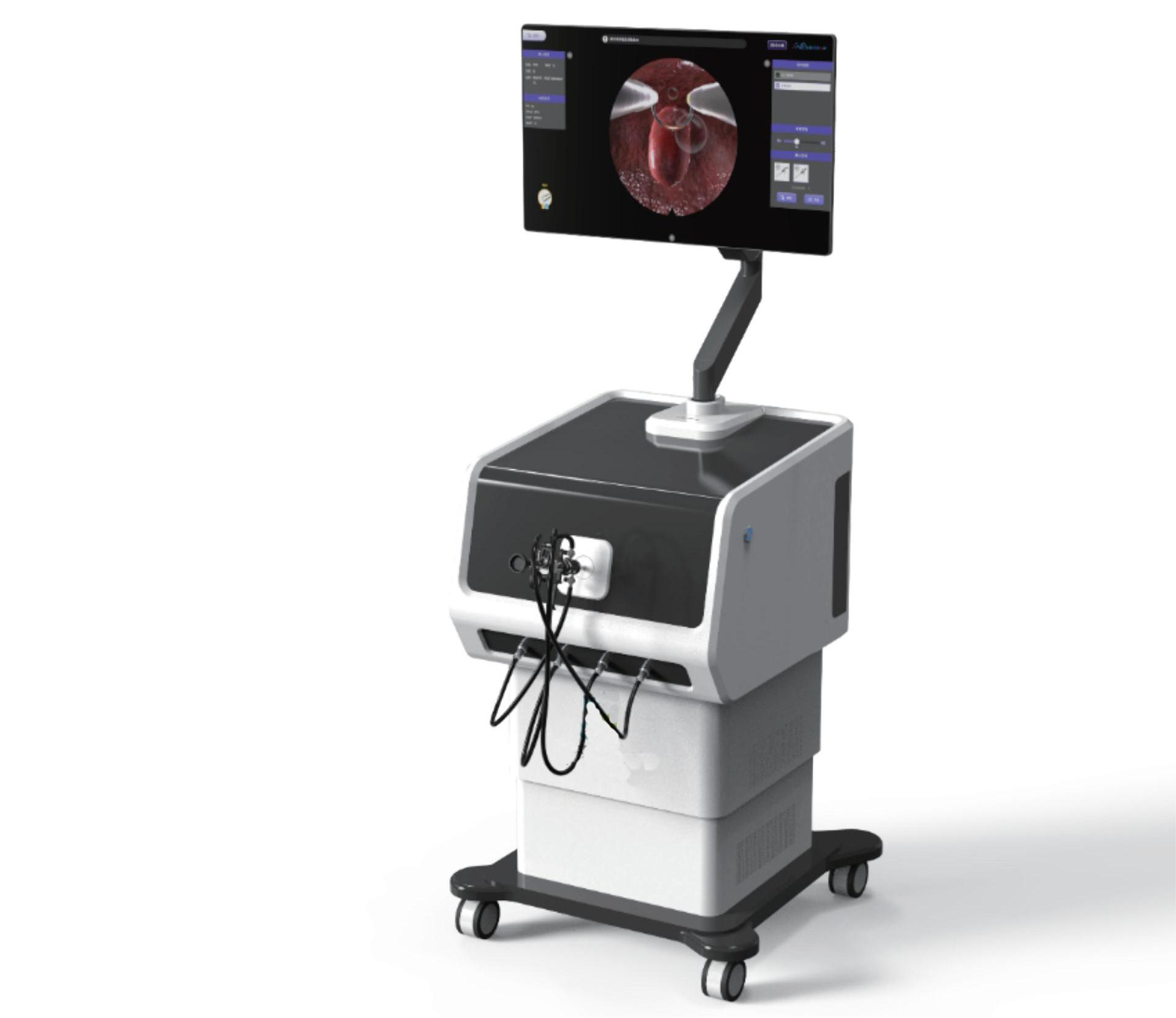 HYSTEROSCOPY SIMULATORS